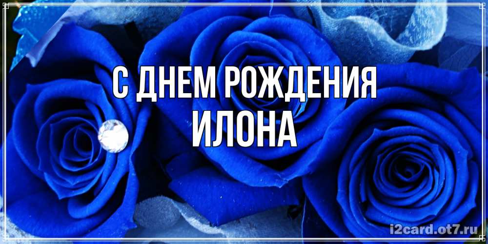 Открытка на каждый день с именем, Илона С днем рождения синие розы в росе Прикольная открытка с пожеланием онлайн скачать бесплатно 