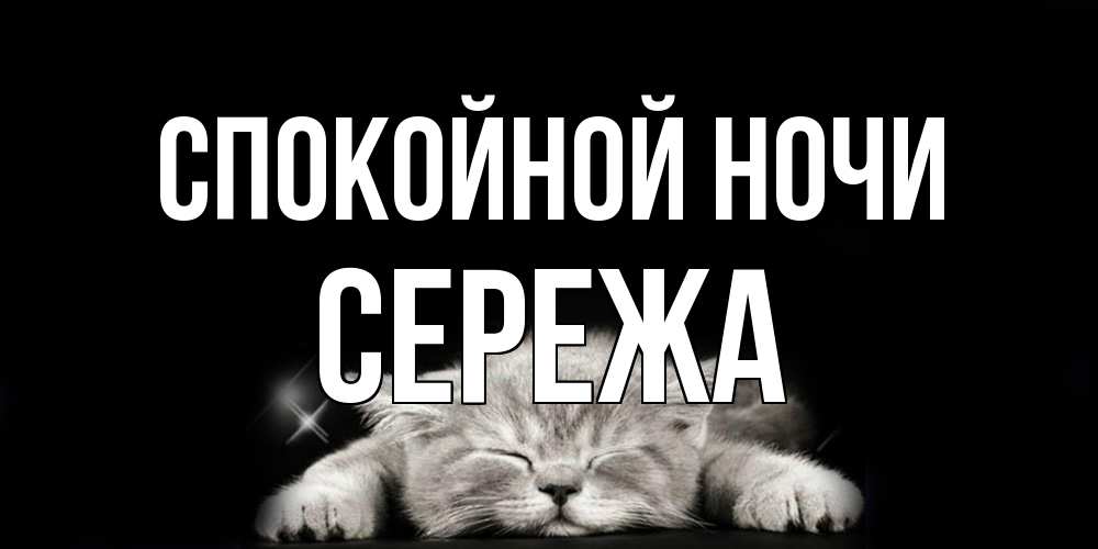 Открытка на каждый день с именем, Сережа Спокойной ночи спящий котик Прикольная открытка с пожеланием онлайн скачать бесплатно 