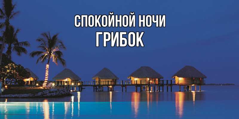 Картинка Спокойной ночи, Грибок