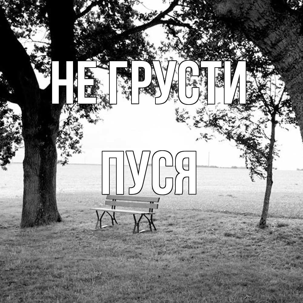 Открытка на каждый день с именем, Пуся Не грусти мощное дерево Прикольная открытка с пожеланием онлайн скачать бесплатно 