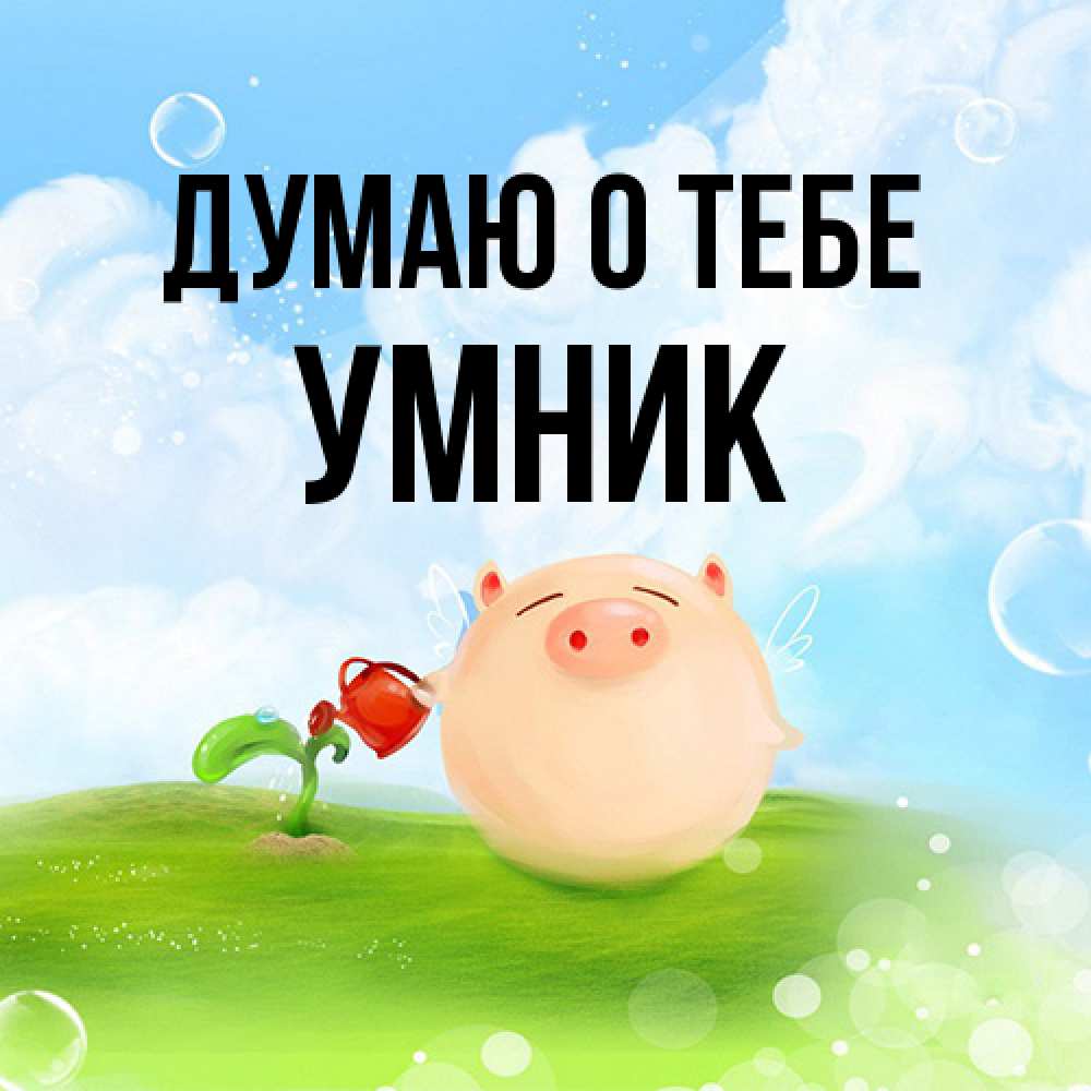 Открытка на каждый день с именем, Умник Думаю о тебе позитивная свинюшка Прикольная открытка с пожеланием онлайн скачать бесплатно 
