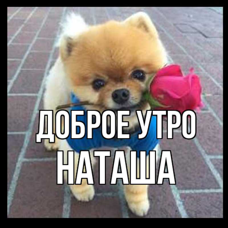 Картинка Доброе утро, Наташа