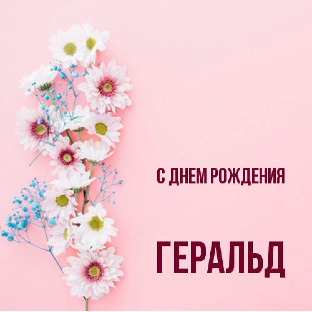 Открытка на каждый день с именем, Геральд С днем рождения Родная моя с днем рождения тебя картинка с цветами белыми и голубыми Прикольная открытка с пожеланием онлайн скачать бесплатно 