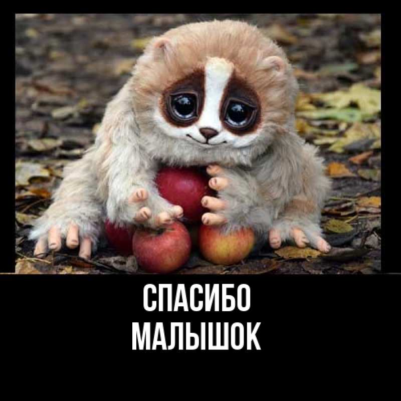 Картинка Спасибо, малышок