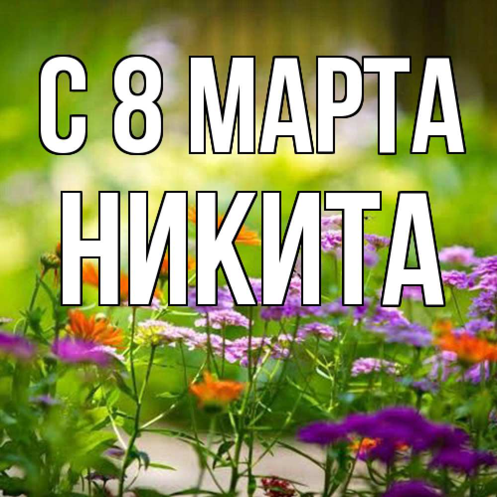 Открытка на каждый день с именем, Никита C 8 МАРТА цветы Прикольная открытка с пожеланием онлайн скачать бесплатно 