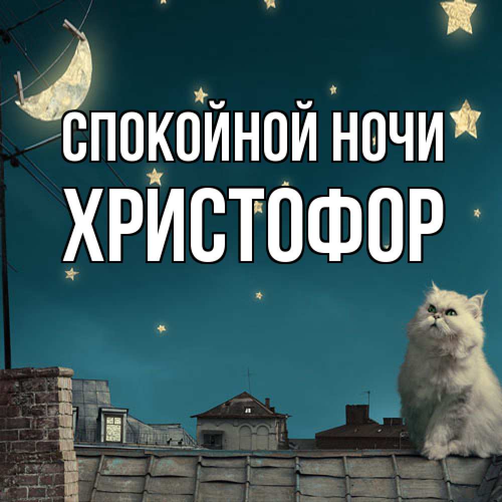 Открытка на каждый день с именем, Христофор Спокойной ночи белый кот сидит на крыше Прикольная открытка с пожеланием онлайн скачать бесплатно 
