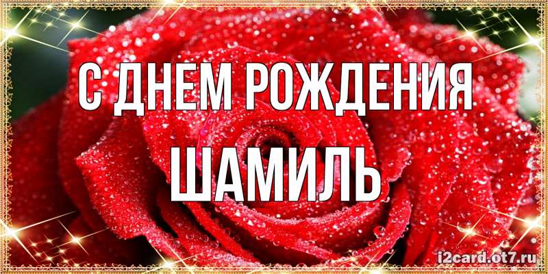 Картинка С днем рождения, Шамиль
