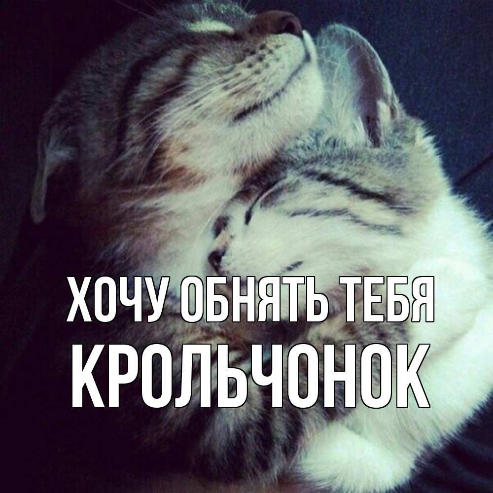 Открытка на каждый день с именем, Крольчонок Хочу обнять тебя полосатики Прикольная открытка с пожеланием онлайн скачать бесплатно 