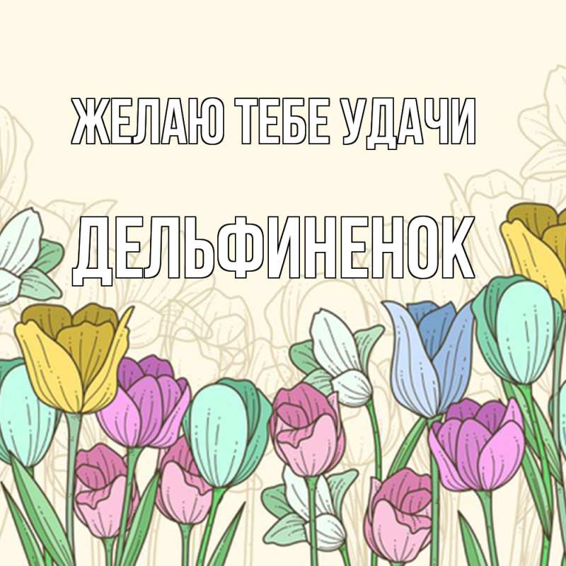 Открытка с именем, дельфиненок, Желаю тебе удачи