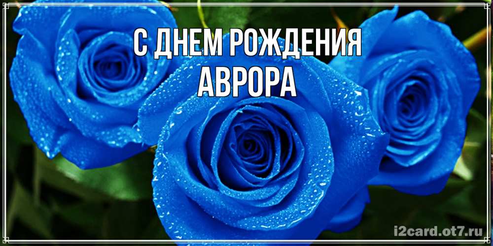 Открытка на каждый день с именем, Аврора С днем рождения розы с синим цветом Прикольная открытка с пожеланием онлайн скачать бесплатно 