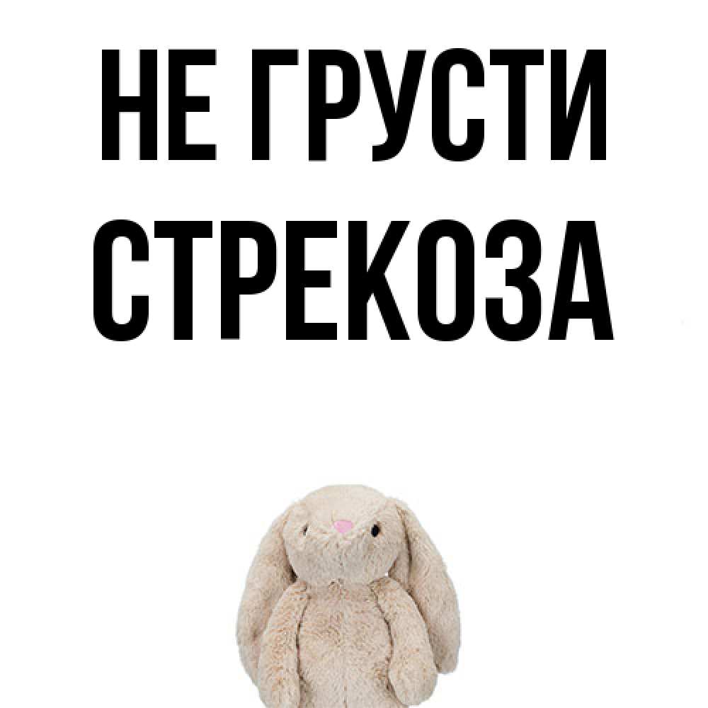 Открытка на каждый день с именем, Стрекоза Не грусти детская игрушка зайчика Прикольная открытка с пожеланием онлайн скачать бесплатно 