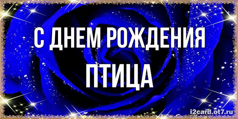 Открытка с именем, Птица, С днем рождения