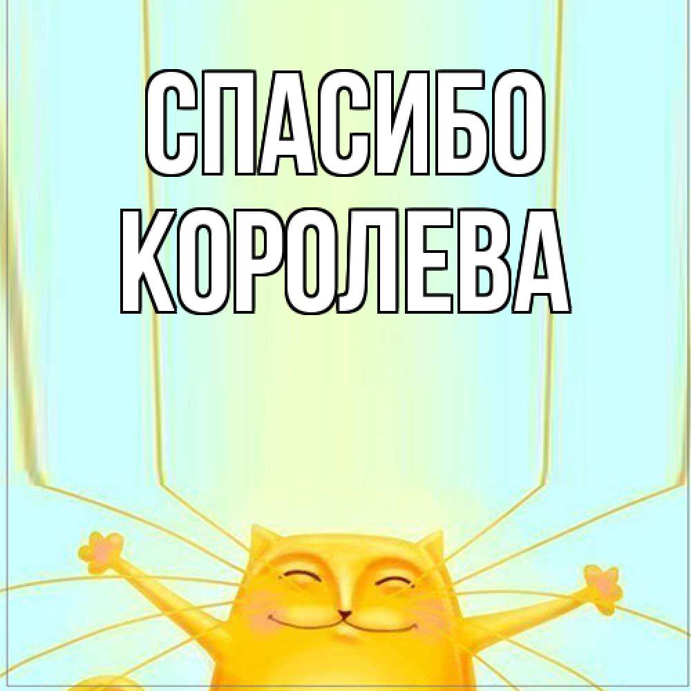 Открытка на каждый день с именем, королева Спасибо кот с усами благодарит Прикольная открытка с пожеланием онлайн скачать бесплатно 