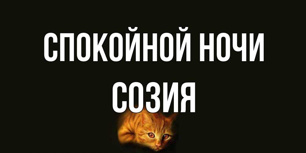 Открытка на каждый день с именем, Созия Спокойной ночи кот Прикольная открытка с пожеланием онлайн скачать бесплатно 