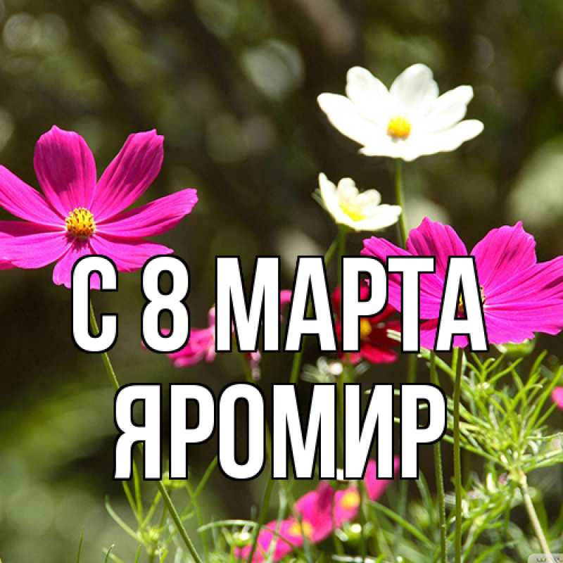 Картинка C 8 МАРТА, Яромир