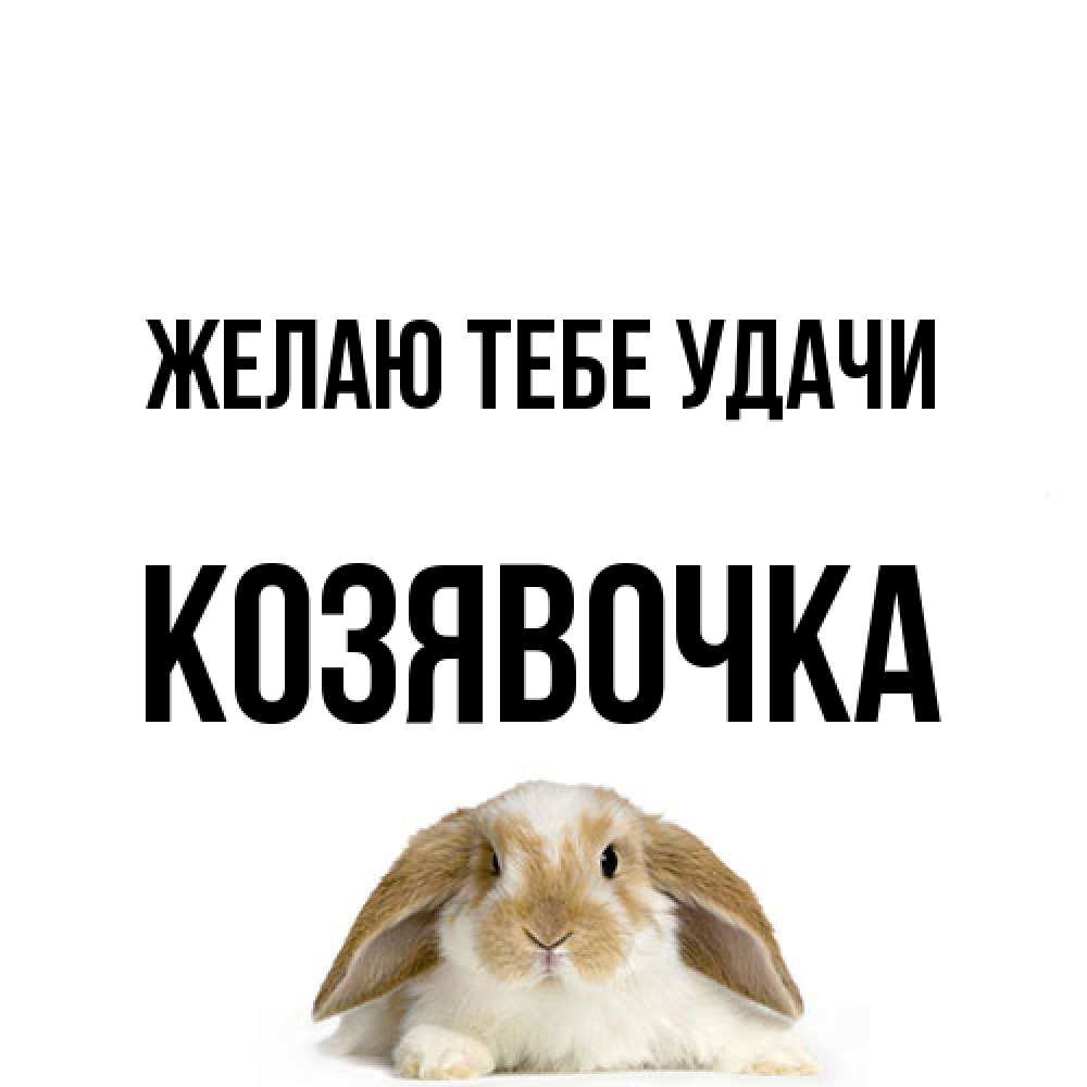 Открытка на каждый день с именем, Козявочка Желаю тебе удачи открытки с произвольным текстом который можно вставить в открытку и создать ее самостоятельно бесплатно онлайн Прикольная открытка с пожеланием онлайн скачать бесплатно 