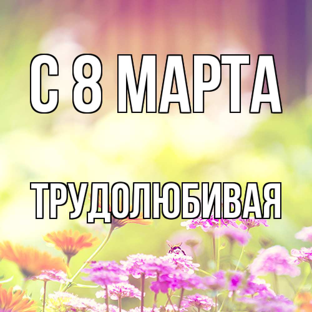 Открытка на каждый день с именем, Трудолюбивая C 8 МАРТА цветы весна Прикольная открытка с пожеланием онлайн скачать бесплатно 