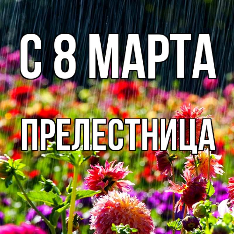 Картинка C 8 МАРТА, Прелестница