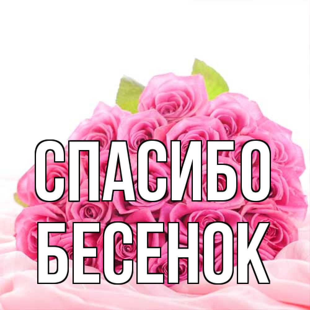 Открытка на каждый день с именем, Бесенок Спасибо розовые розы с подписью Прикольная открытка с пожеланием онлайн скачать бесплатно 