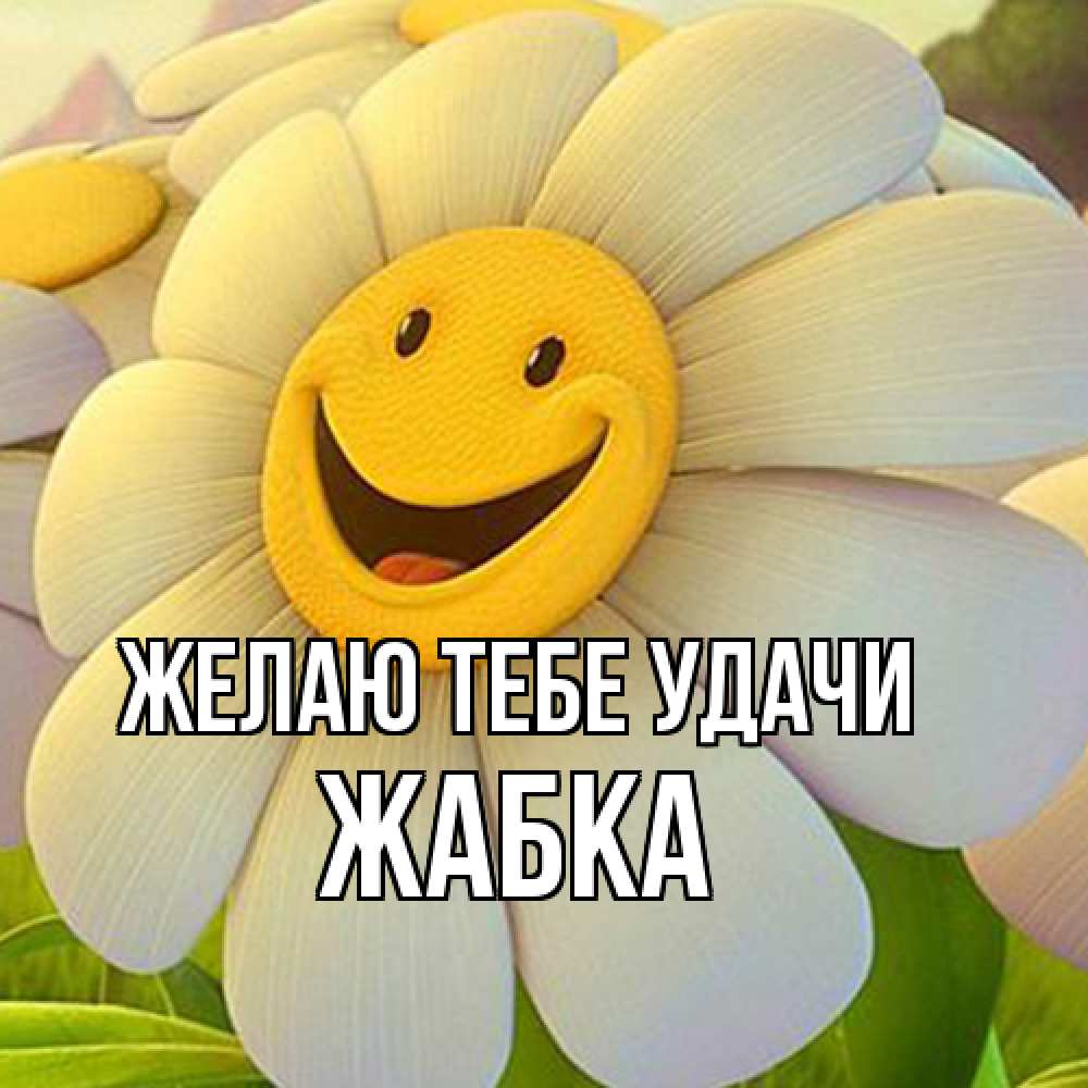 Открытка на каждый день с именем, Жабка Желаю тебе удачи подписать открытку своим текстом Прикольная открытка с пожеланием онлайн скачать бесплатно 