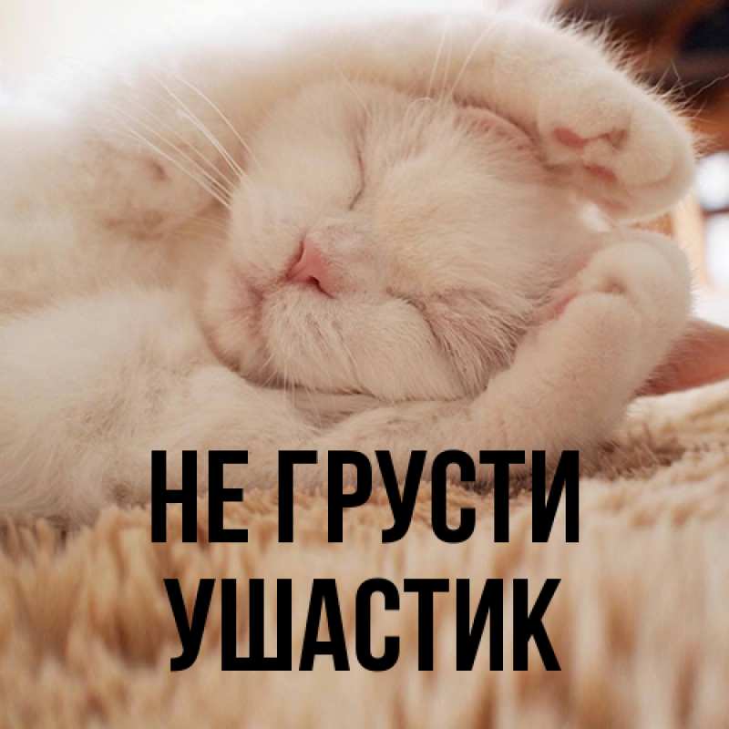 Картинка Не грусти, Ушастик