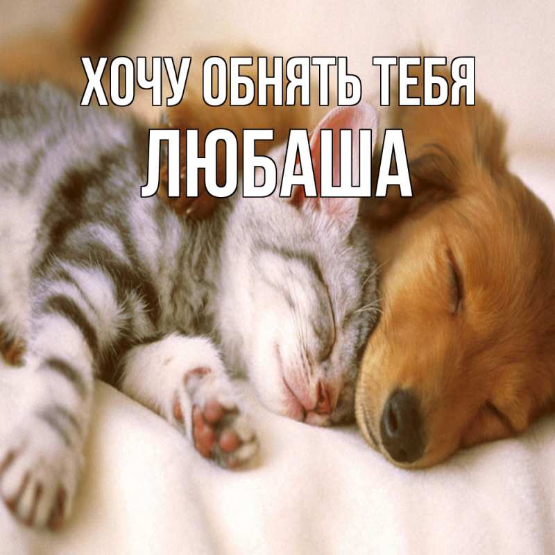 Картинка Хочу обнять тебя, Любаша