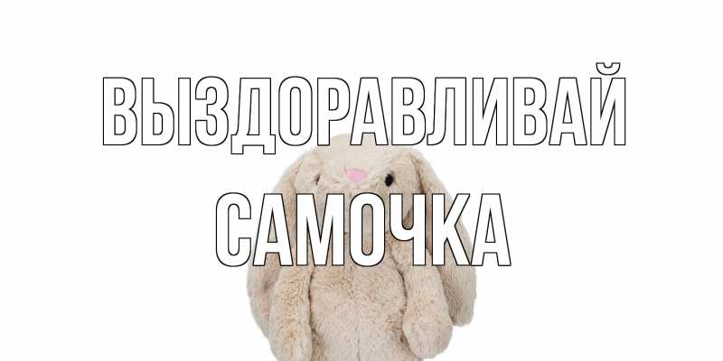 Картинка Выздоравливай, Самочка