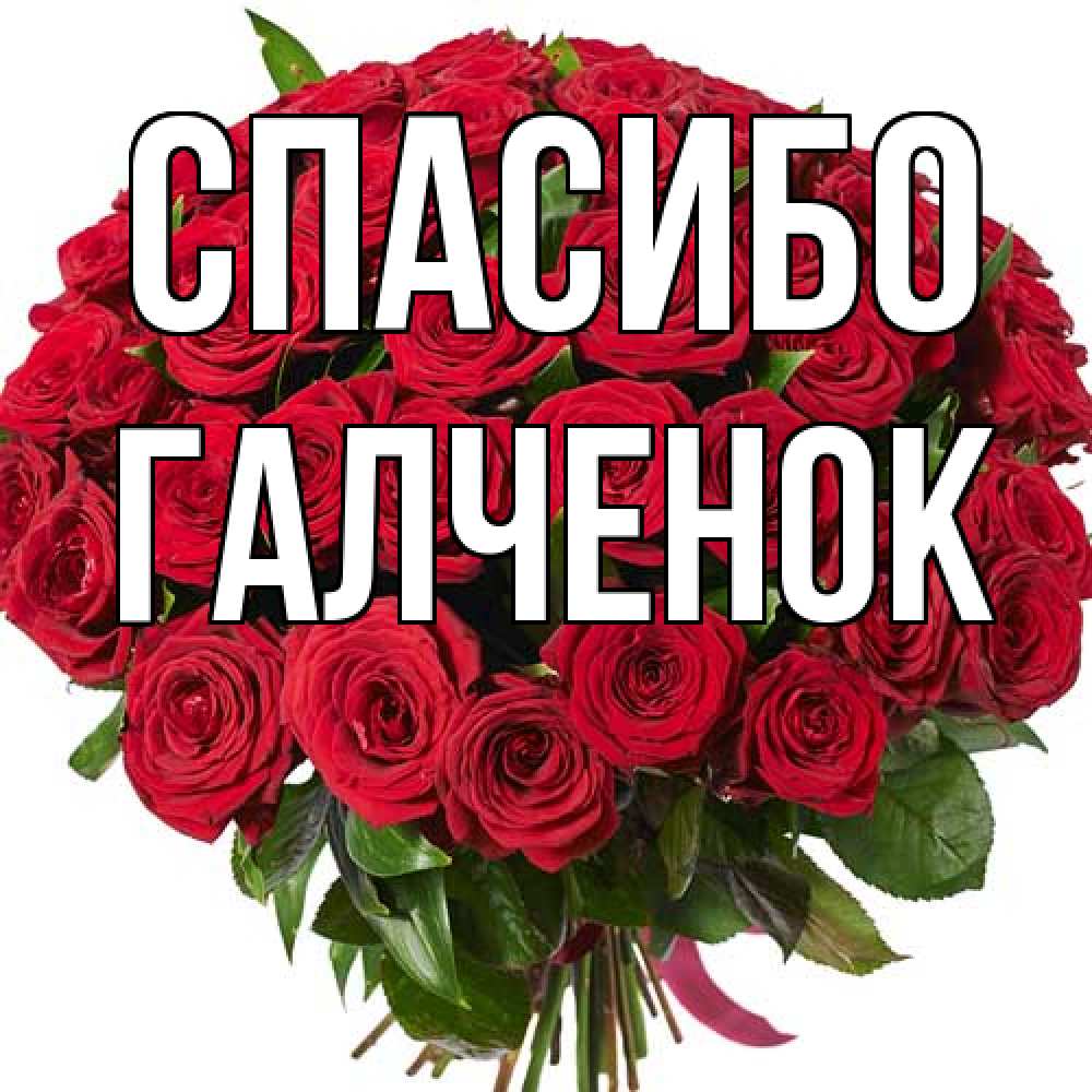 Открытка на каждый день с именем, Галченок Спасибо букет красных роз Прикольная открытка с пожеланием онлайн скачать бесплатно 