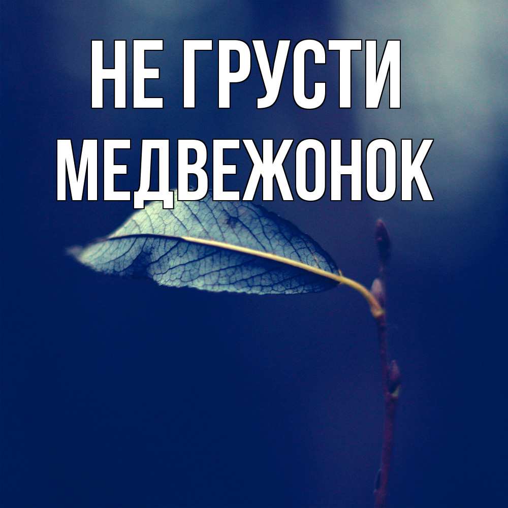 Открытка на каждый день с именем, медвежонок Не грусти растение Прикольная открытка с пожеланием онлайн скачать бесплатно 
