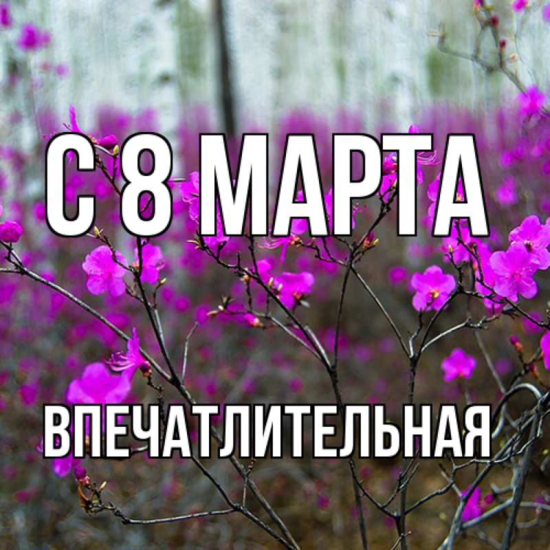 Картинка C 8 МАРТА, впечатлительная