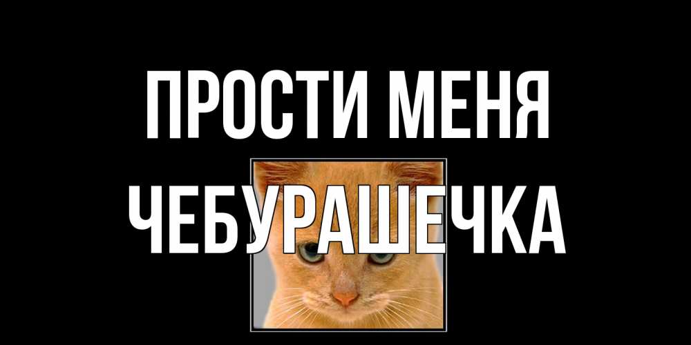 Открытка на каждый день с именем, Чебурашечка Прости меня рыжий грустный кот просит прощения Прикольная открытка с пожеланием онлайн скачать бесплатно 
