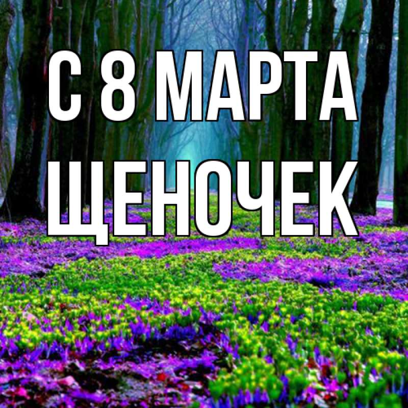 Картинка C 8 МАРТА, Щеночек