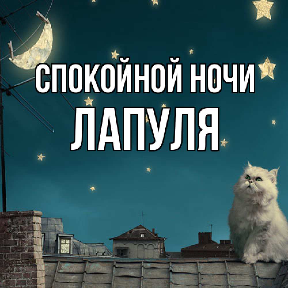 Открытка на каждый день с именем, Лапуля Спокойной ночи белый кот сидит на крыше Прикольная открытка с пожеланием онлайн скачать бесплатно 