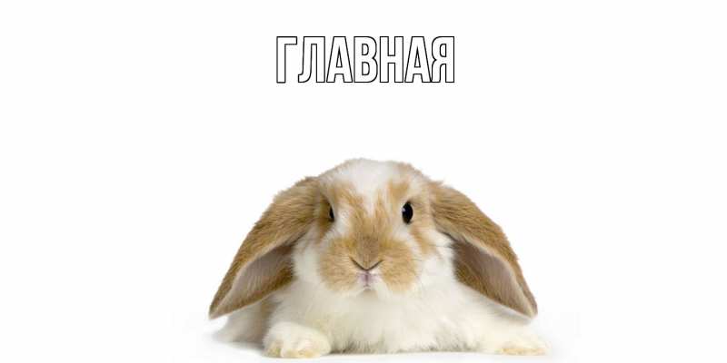 Открытка с именем, Выздоравливай, 