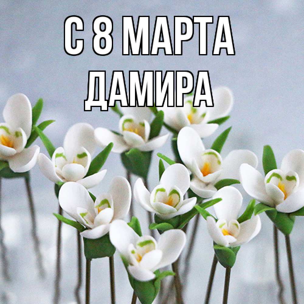 Открытка на каждый день с именем, Дамира C 8 МАРТА весенние цветы Прикольная открытка с пожеланием онлайн скачать бесплатно 
