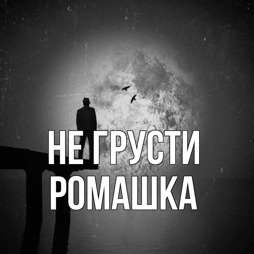 Открытка на каждый день с именем, Ромашка Не грусти мужчина на мосту Прикольная открытка с пожеланием онлайн скачать бесплатно 