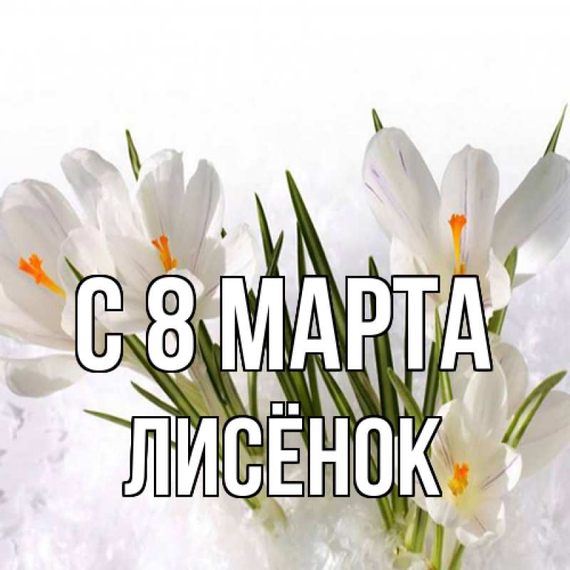 Картинка C 8 МАРТА, Лисёнок