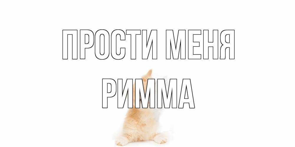 Открытка на каждый день с именем, Римма Прости меня кот Прикольная открытка с пожеланием онлайн скачать бесплатно 