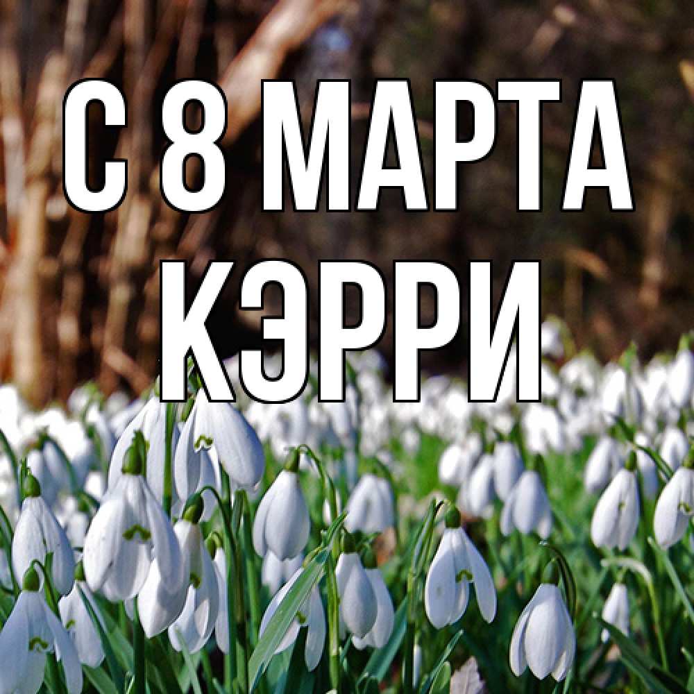 Открытка на каждый день с именем, Кэрри C 8 МАРТА с подснежниками 1 Прикольная открытка с пожеланием онлайн скачать бесплатно 