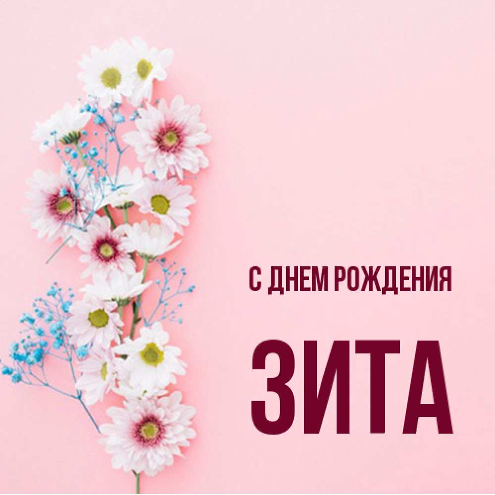Открытка на каждый день с именем, Зита С днем рождения Родная моя с днем рождения тебя картинка с цветами белыми и голубыми Прикольная открытка с пожеланием онлайн скачать бесплатно 