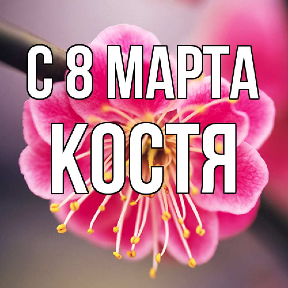 Открытка на каждый день с именем, Костя C 8 МАРТА цветы Прикольная открытка с пожеланием онлайн скачать бесплатно 