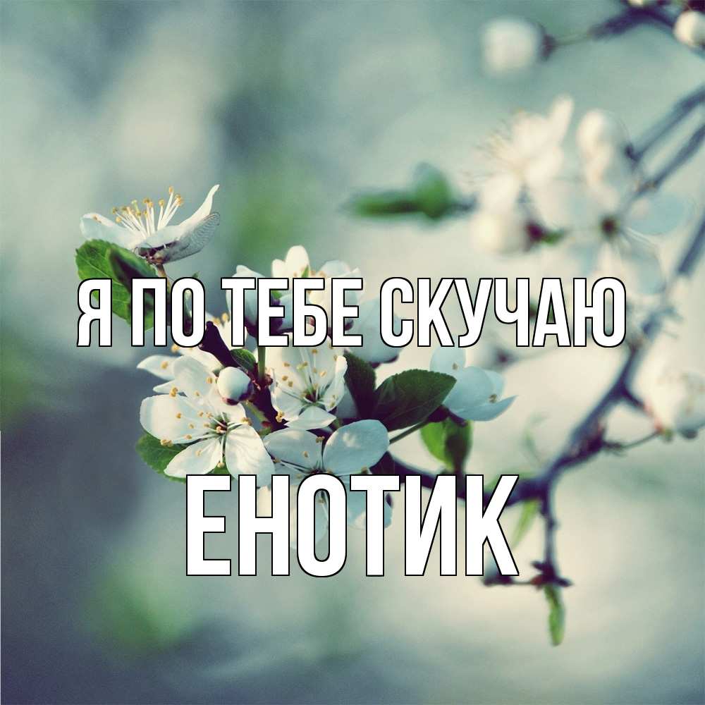 Открытка на каждый день с именем, Енотик Я по тебе скучаю весна Прикольная открытка с пожеланием онлайн скачать бесплатно 