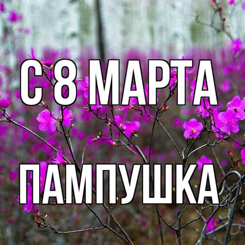 Картинка C 8 МАРТА, Пампушка