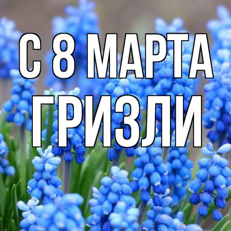 Картинка C 8 МАРТА, Гризли