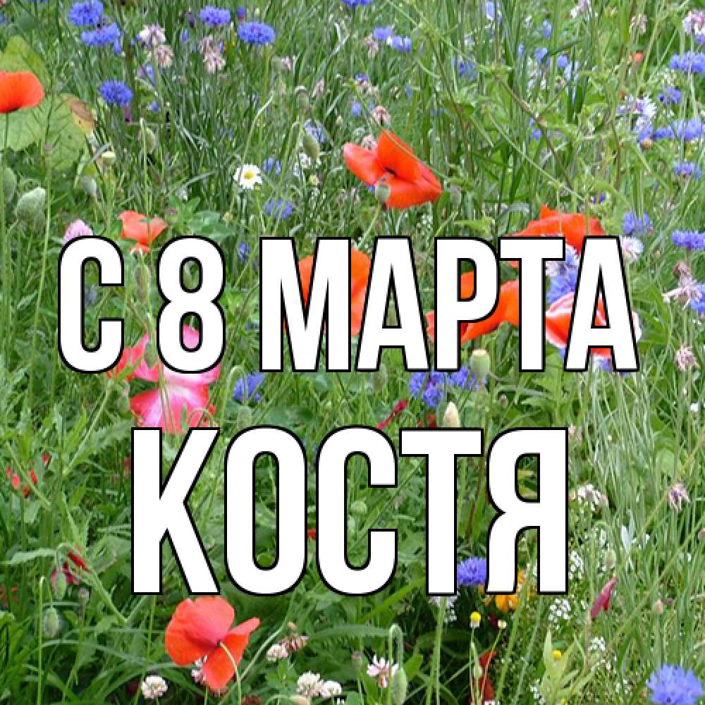 Открытка на каждый день с именем, Костя C 8 МАРТА международный женский день 4 Прикольная открытка с пожеланием онлайн скачать бесплатно 