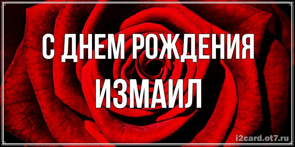 Открытка на каждый день с именем, Измаил С днем рождения алая роза Прикольная открытка с пожеланием онлайн скачать бесплатно 