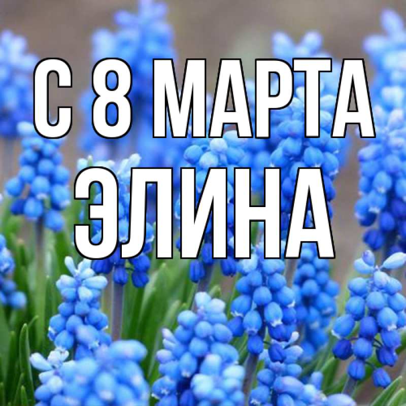 Картинка C 8 МАРТА, Элина