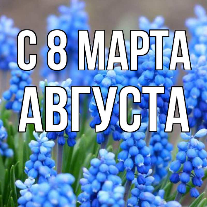Картинка C 8 МАРТА, Августа