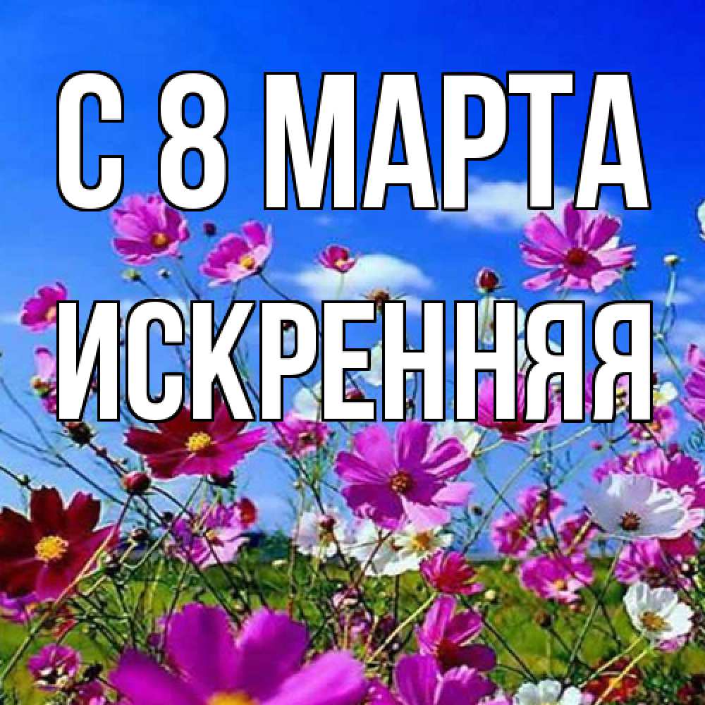 Открытка на каждый день с именем, Искренняя C 8 МАРТА цветы Прикольная открытка с пожеланием онлайн скачать бесплатно 