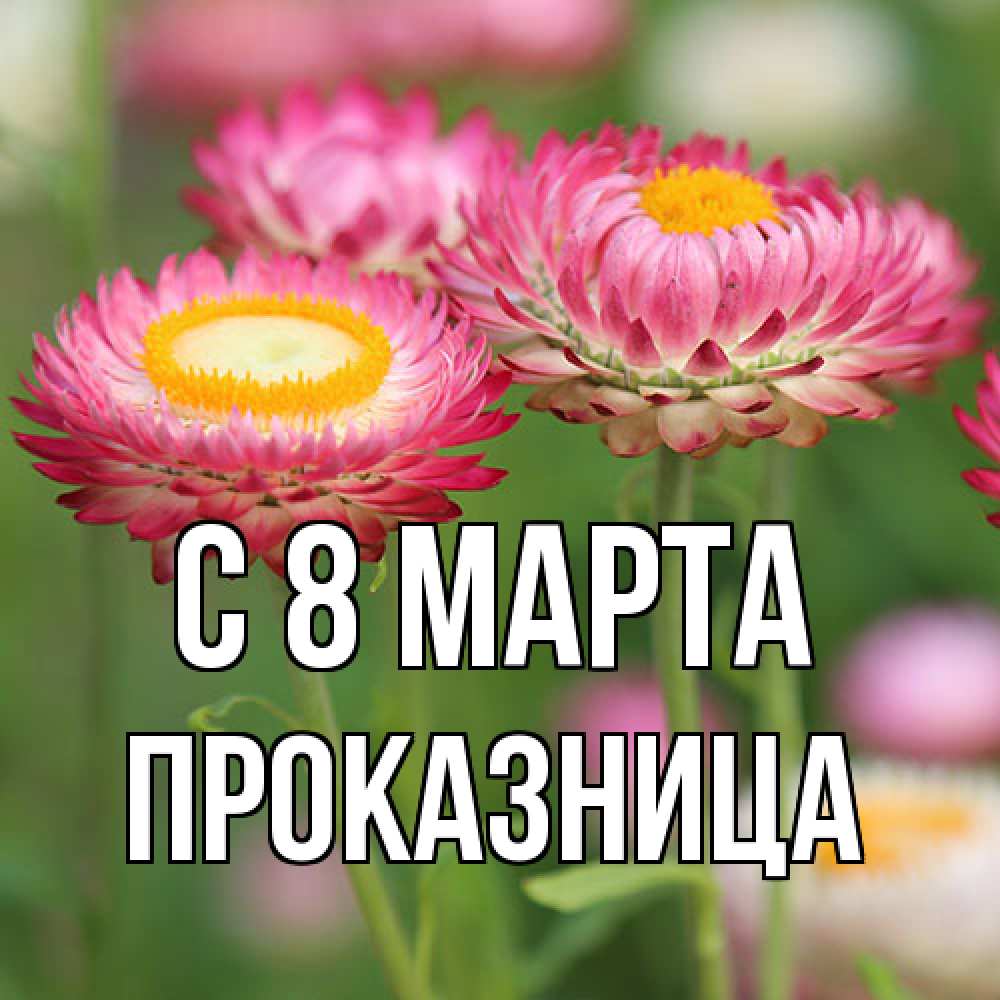 Открытка на каждый день с именем, Проказница C 8 МАРТА подарок на международный женский день Прикольная открытка с пожеланием онлайн скачать бесплатно 